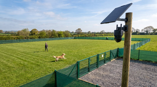 Dog Field Security Cameras: Protecting Your Secure Dog Walking Field Business
