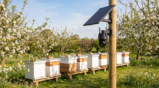 Beehive Theft & Vandalism: Apiary Security for UK Beekeepers