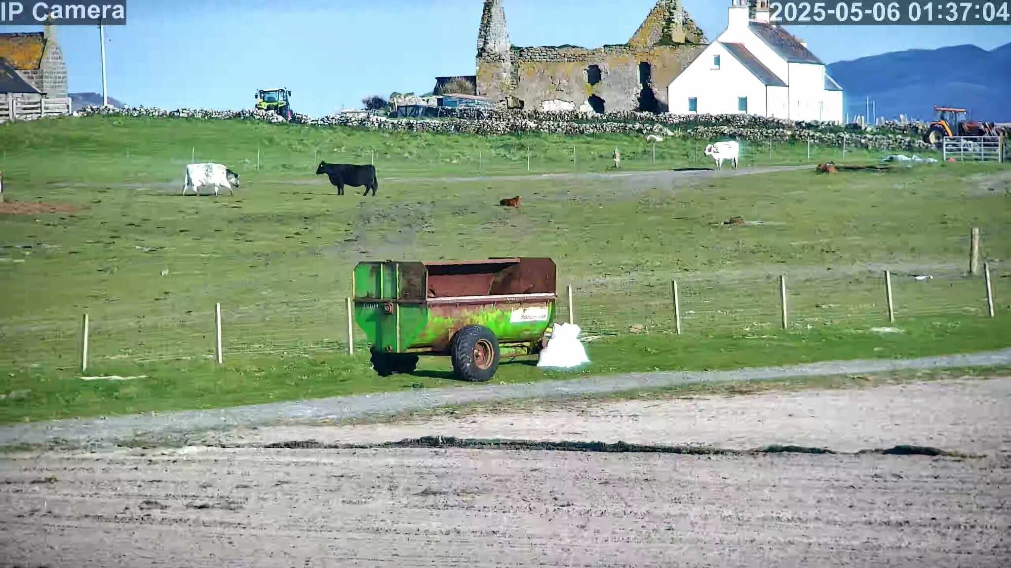 Cows And Calving - Image 8