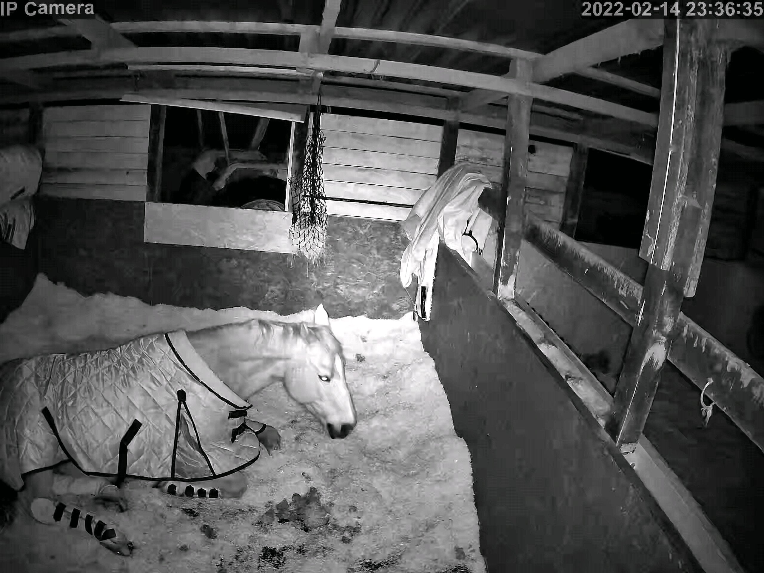 Horse Stall Camera Boutiques / Industrial Ir Camera