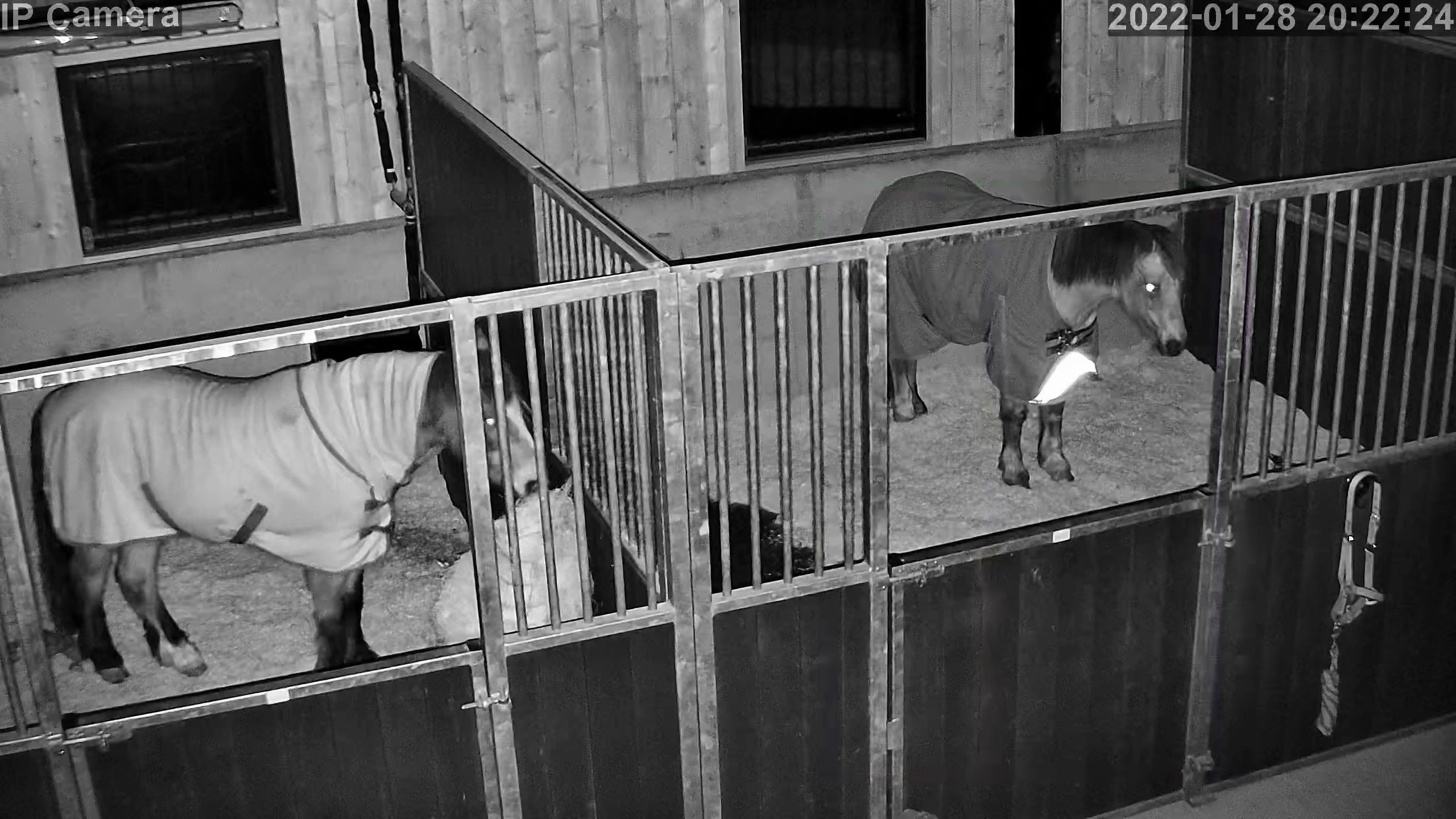 Horse Stall Camera , Iphone Meticulous 13 Pro Camera Lens Protector