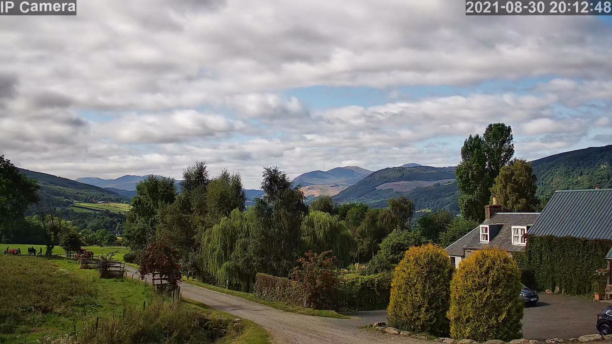 Miscellaneous Pictures - Image 17