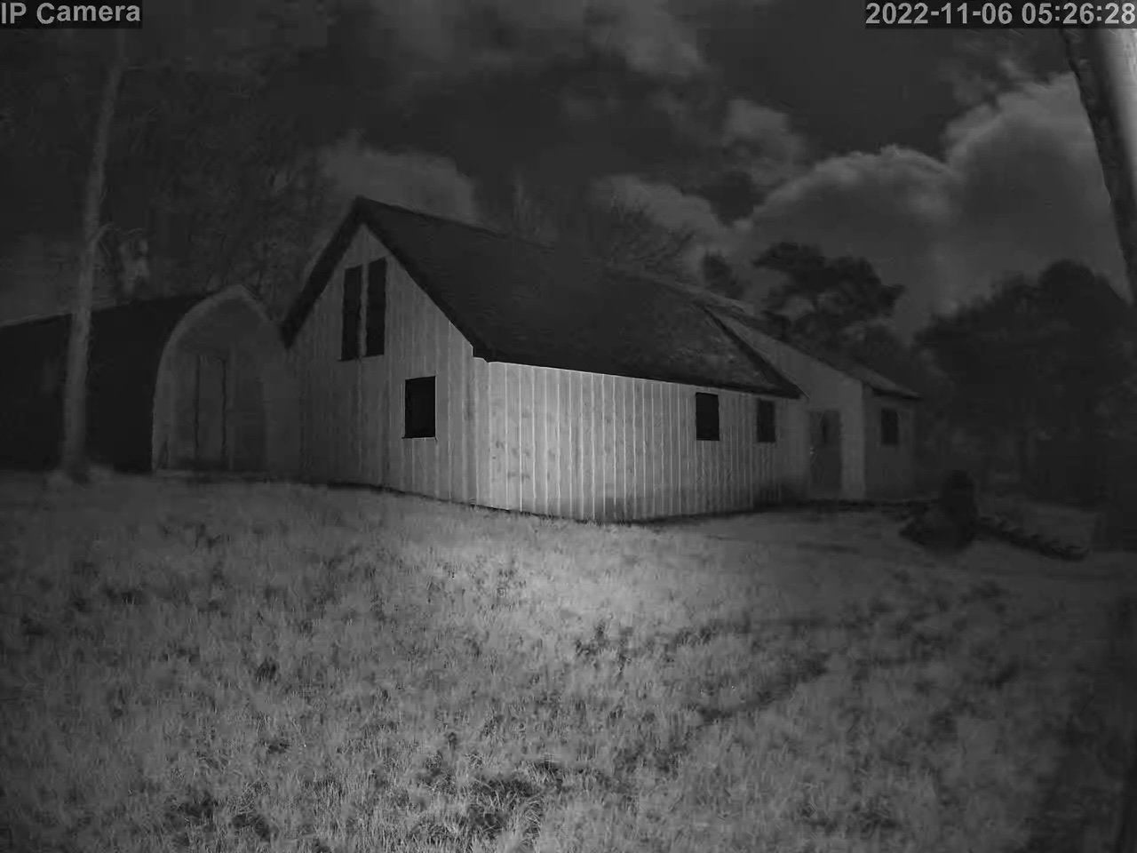 Miscellaneous Pictures - Image 23