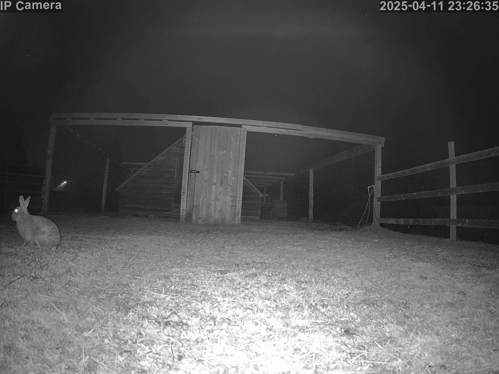 Wildlife - Image 1